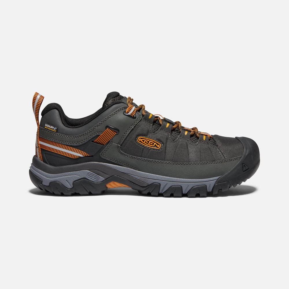 Chaussure de Randonnée Keen Homme Noir/Doré | Targhee Exp Waterproof | GHDOE-9378